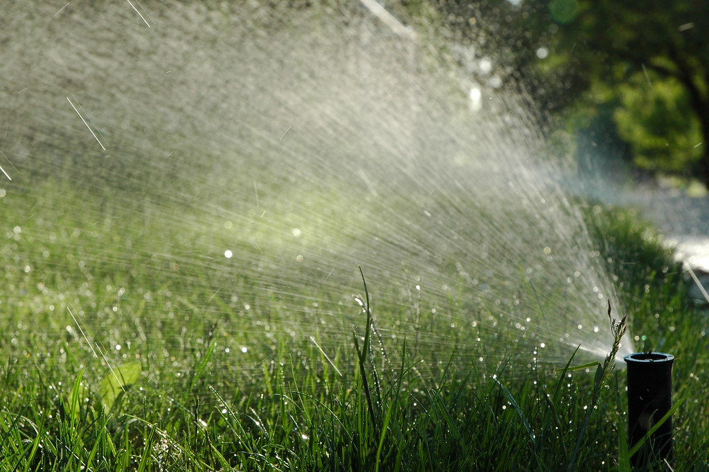 Sunlit sprinkler spray watering a lawn